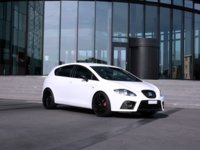 CandyCupra_IS_001.jpg