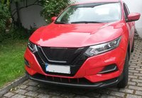 calandra_qashqai (2c).jpg
