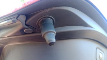 Foto-01.jpg