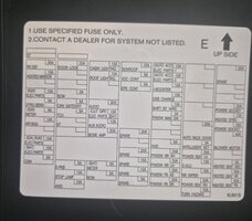 1000088833.jpg