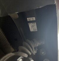 IMG_7613.jpeg