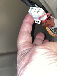 Stecker_Anh.jpg