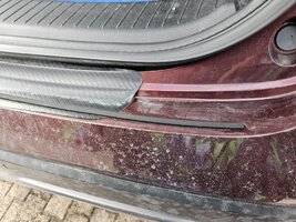 qq heck s (1) klein.jpg