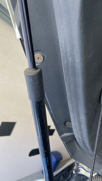 IMG_4812.jpeg