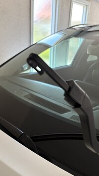 IMG_5926.jpeg