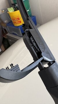 IMG_5930.jpeg