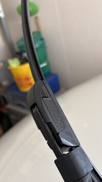 IMG_5931.jpeg