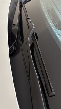 IMG_5932.jpeg