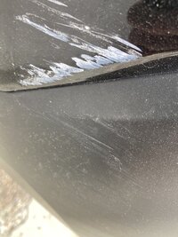 IMG_4262.jpeg