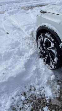 IMG_5748.jpeg