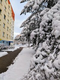 IMG-20261020-WA0002.jpg