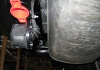 IMG_2032.jpg