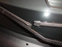 DSC00612.JPG