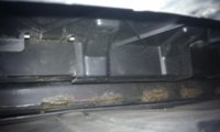 Rost1.jpg