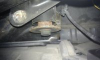 Rost3.jpg