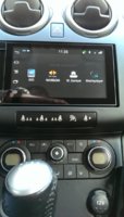 Parrot1.jpg