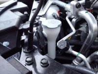 DSC_0010[1].jpg