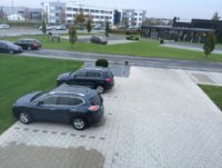 IMG_1990.jpg