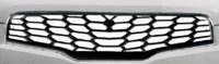 qq grill3.jpg