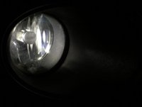 28974_dt.jpg