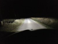 Low beams only.jpg