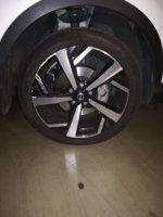 IMG_20190805_072810.jpg