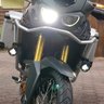 Rob262