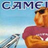 Camelgerd