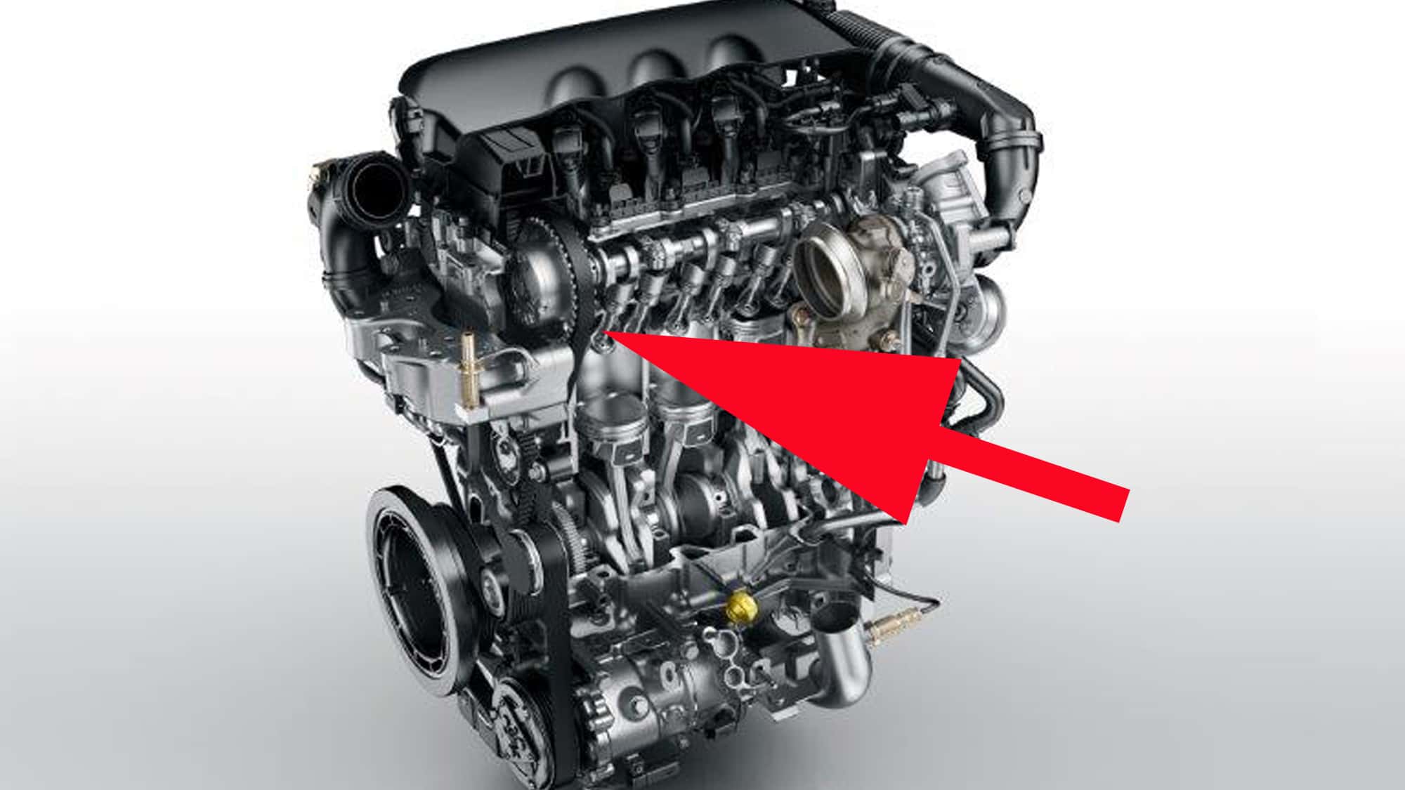 www.auto-motor-und-sport.de